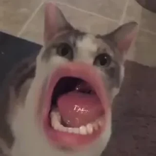 😵