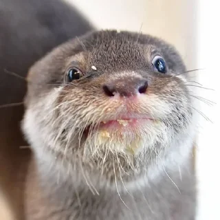 😱