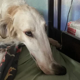 ☹️