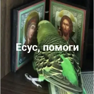 ✝