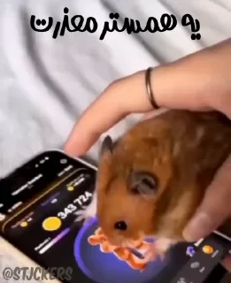 😔