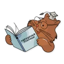 📖