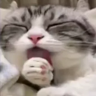 😳
