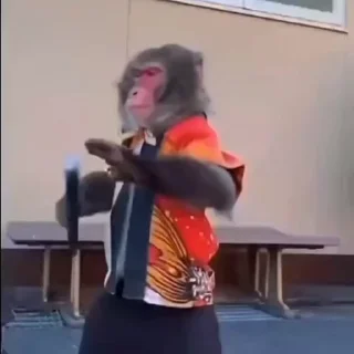 🤩
