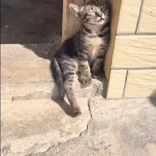 😴
