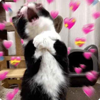 🥰