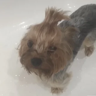 🤨