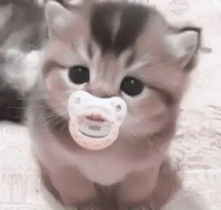 😊