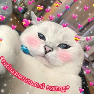 😏