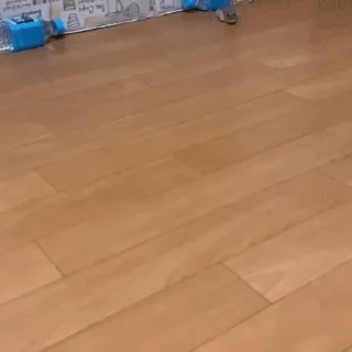 🏎