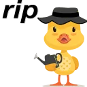 🐥