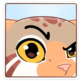 👁