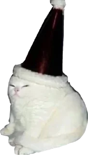 🎩