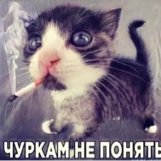 🚬