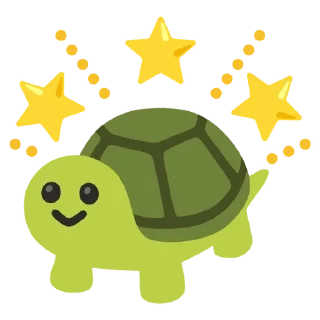 🌟
