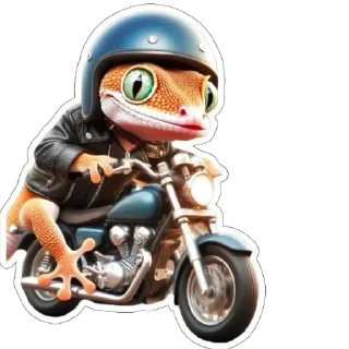 🏍