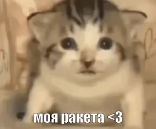 😍