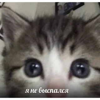 😠