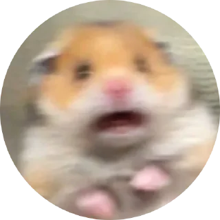 😱