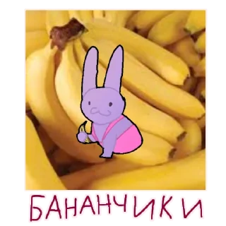 🐰