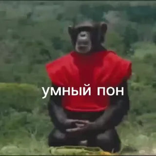 💫