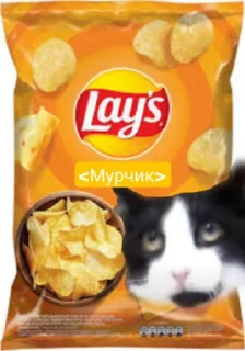 🤩