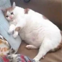 😭