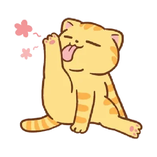 🐾