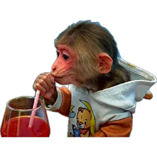 🥤