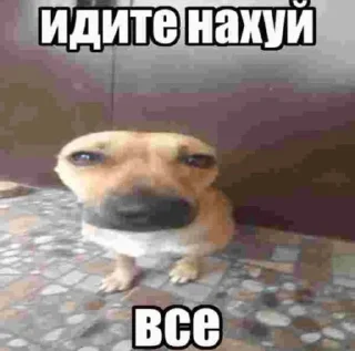 🤣