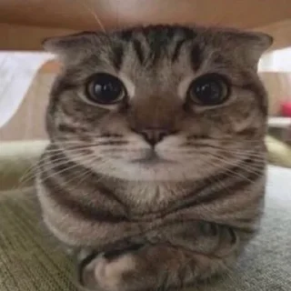 😐