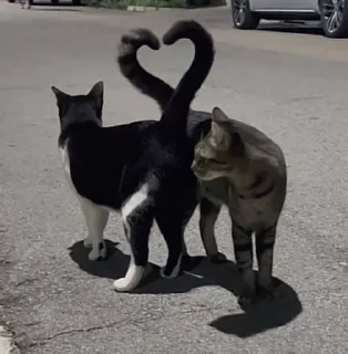 ❤️