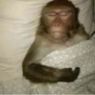 😴