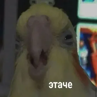 🤔