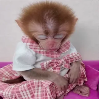 😴