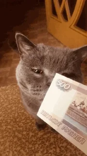 🧐
