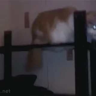 😁