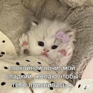 🍬