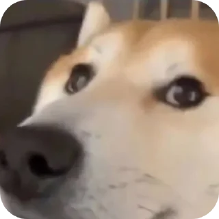 🤲