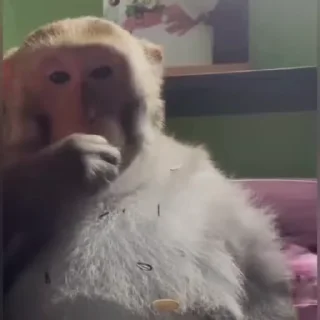 🌟
