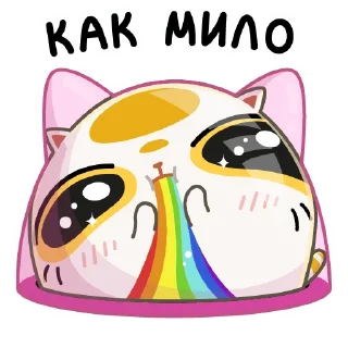 🌈