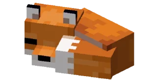 🦊