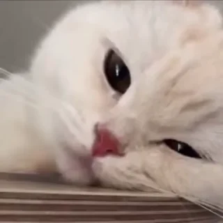 💕