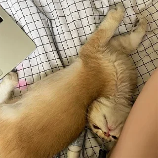 😶