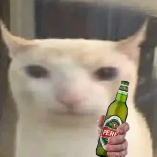 🍾