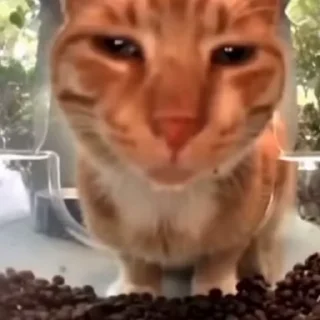 👀