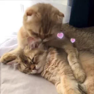 💋