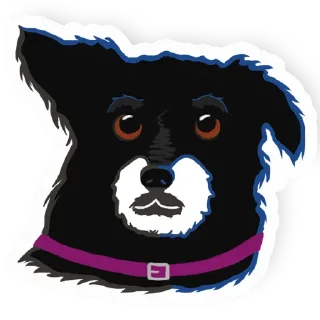 Jenna the dog