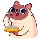 🍽