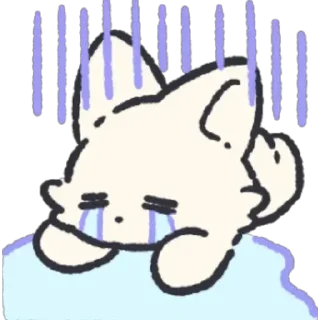 😿
